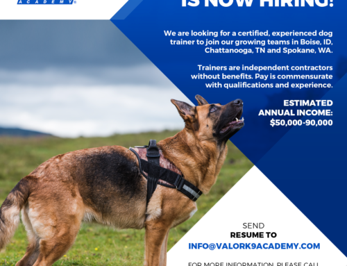 SEEKING: Professional dog trainer to join our team in Chattanooga, TN