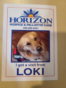 Loki therapy dog spokane wa alliance of therapy dogs