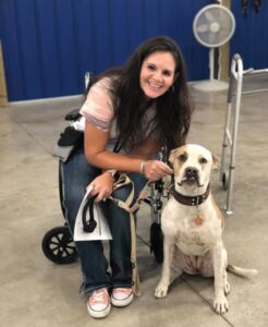 therapy dog team spokane wa