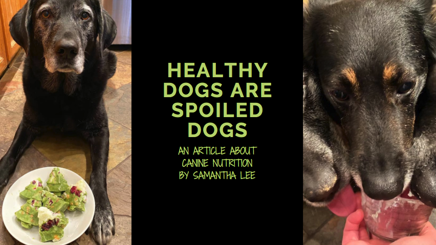 health dogs are spoiled dogs