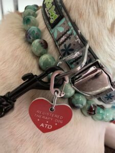 therapy dog certification collar spokane washington