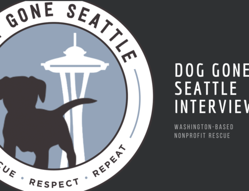Dog Rescue Spotlight: Dog Gone Seattle in Seattle, WA (part 2 of 2)