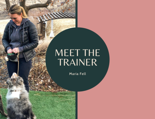 Meet the Trainer – Maria Fell