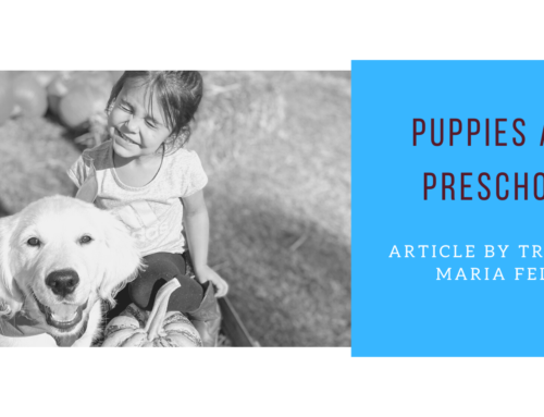 Puppies and Preschool: Training dogs and raising kids
