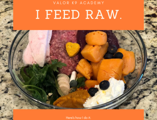 I feed raw. Here’s how I do it.