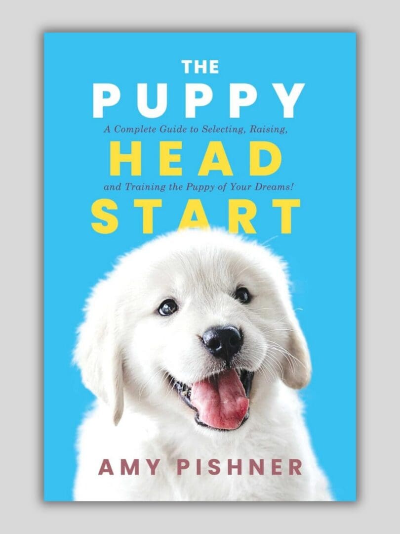 Puppy head start book
