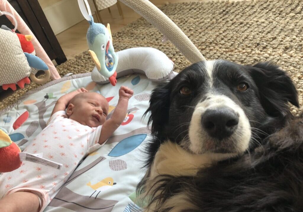 baby and dog