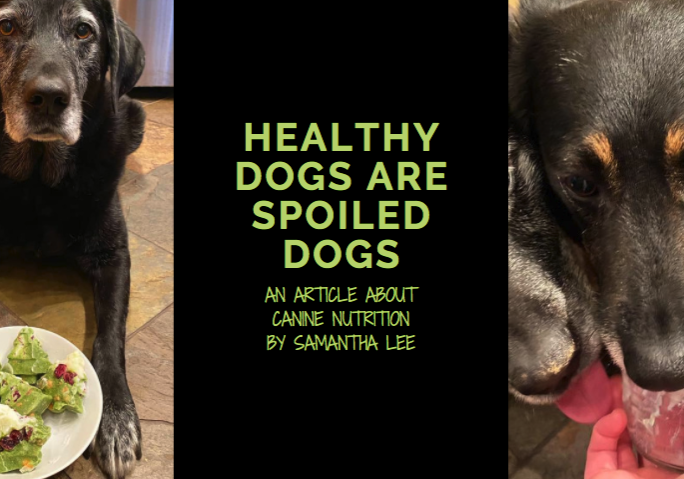 health dogs are spoiled dogs